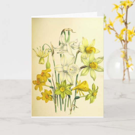 De Kaart van de Sympathie van de Bloem van (Gele Bloem)