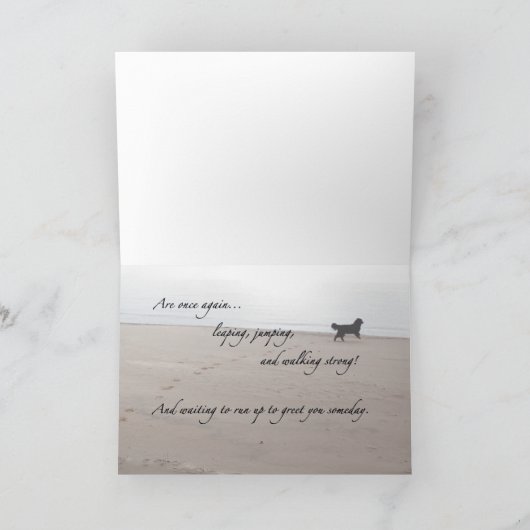 De kaart van de Sympathie van de hond (Binnen)