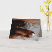 De kaart van de Sympathie van de hond (Gele Bloem)