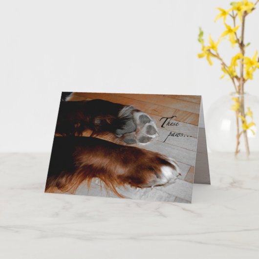 De kaart van de Sympathie van de hond (Gele Bloem)