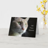 De Kaart van de Sympathie van de kat (Gele Bloem)