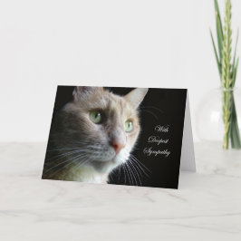 De Kaart van de Sympathie van de kat