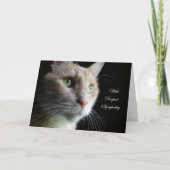 De Kaart van de Sympathie van de kat (Voorkant)