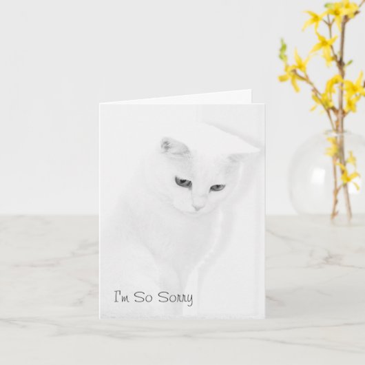 De Kaart van de Sympathie van de kat (Gele Bloem)