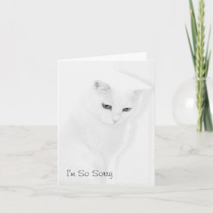 De Kaart van de Sympathie van de kat