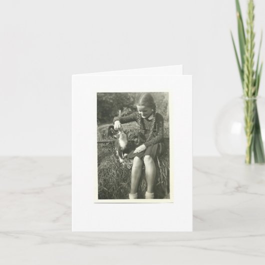 DE KAART VAN DE SYMPATHIE VAN DE KAT (Voorkant)