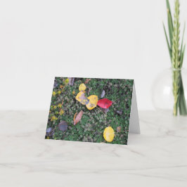 De Kaart van de Sympathie van de Kleuren van de