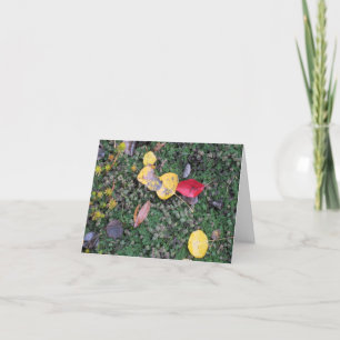 De Kaart van de Sympathie van de Kleuren van de