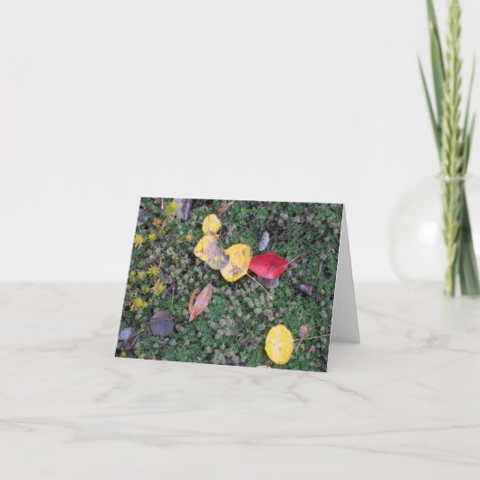 De Kaart van de Sympathie van de Kleuren van de (Voorkant)