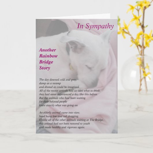 De Kaart van de Sympathie van de redder (Gele Bloem)