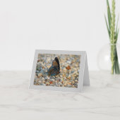 De Kaart van de Sympathie van de vlinder (Voorkant)