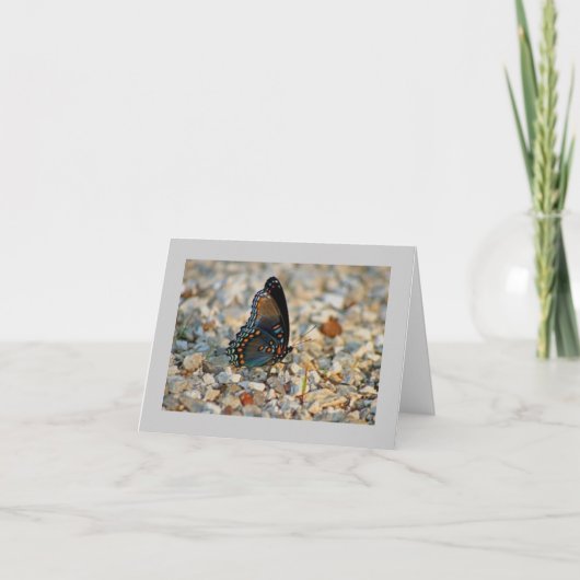 De Kaart van de Sympathie van de vlinder (Voorkant)