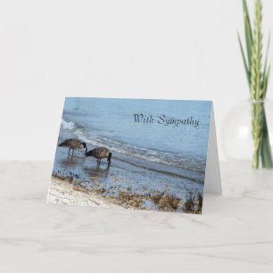 De Kaart van de Sympathie van ganzen