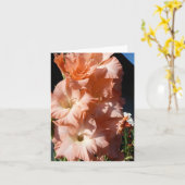 De Kaart van de Sympathie van Gladiola van de (Gele Bloem)