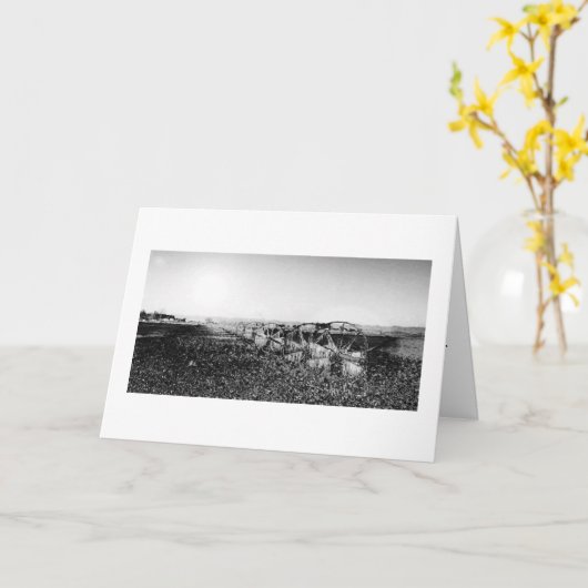 De Kaart van de Sympathie van het Gebied van het (Gele Bloem)