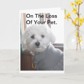 De Kaart van de Sympathie van het huisdier (Gele Bloem)