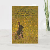 De Kaart van de Sympathie van het huisdier - (Voorkant)