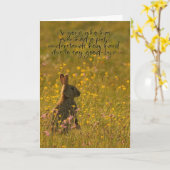 De Kaart van de Sympathie van het huisdier - (Gele Bloem)