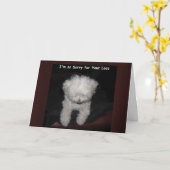 De Kaart van de Sympathie van het huisdier - het (Gele Bloem)