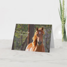 De Kaart van de Sympathie van het paard