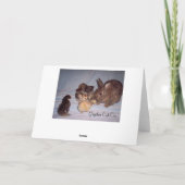 De Kaart van de Sympathie van het Verlies van het (Achterkant)