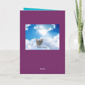 De Kaart van de Sympathie van katten (Achterkant)