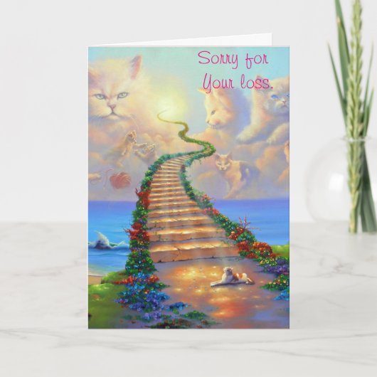 De Kaart van de Sympathie van katten (Voorkant)