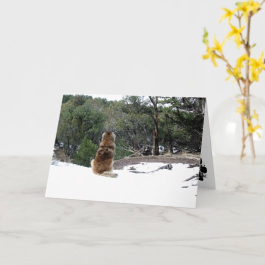 De kaart van de Sympathie van Leonberger (Gele Bloem)