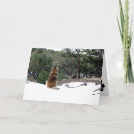 De kaart van de Sympathie van Leonberger