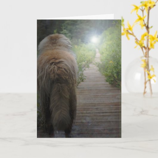 De kaart van de Sympathie van Leonberger (Gele Bloem)