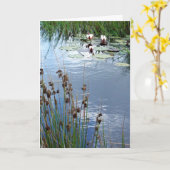 "De Kaart van de Sympathie van waterlelies (Gele Bloem)