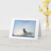 De Kaart van de Sympathie van Weim (Gele Bloem)