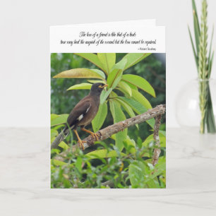 De kaart van de sympathie - Verlies van een vriend