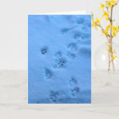 De kaart van de sympathie voor een huisdier (Gele Bloem)