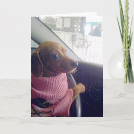 De Kaart van de tekkel (Voorkant)