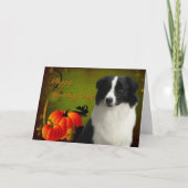 De Kaart van de Thanksgiving van border collie (Voorkant)