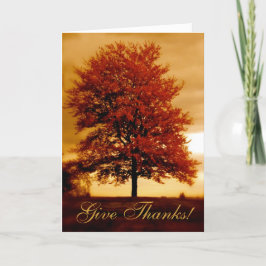 De Kaart van de Thanksgiving van de Douane van de