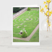 De kaart van de TUIN (Gele Bloem)