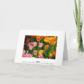 De Kaart van de Tulpen van de lente (Achterkant)