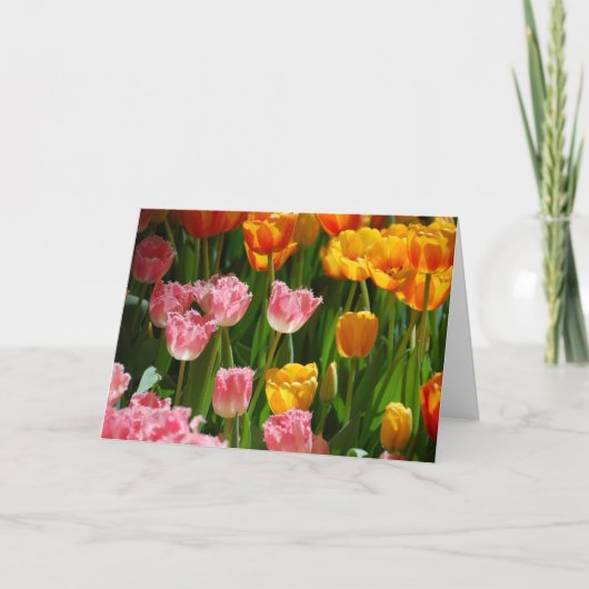 De Kaart van de Tulpen van de lente (Voorkant)