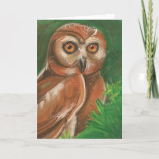 De Kaart van de uil