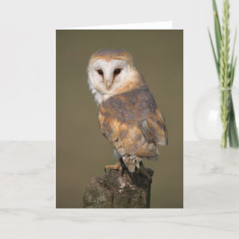 De Kaart van de Uil van de schuur door cARTerART