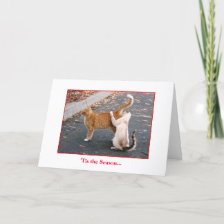 De Kaart van de vakantie