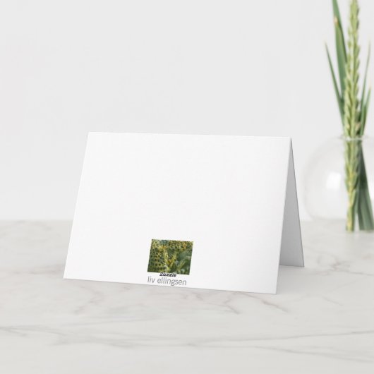 De kaart van de vakantie, de Kranen van het (Achterkant)