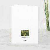 De kaart van de vakantie, PiekQueenstown van het (Achterkant)