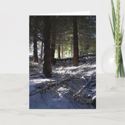 De kaart van de vakantie, PiekQueenstown van het (Voorkant)