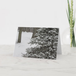 De Kaart van de Vakantie van de Boom van de winter