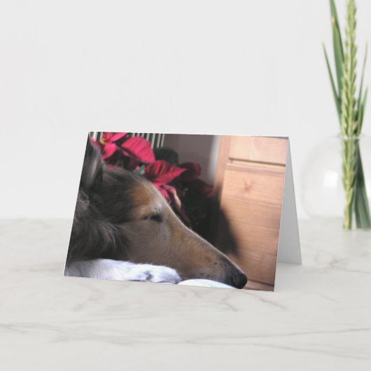 De Kaart van de Vakantie van de Collie van de (Voorkant)