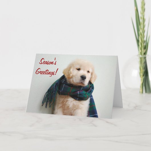 De Kaart van de Vakantie van de Groeten van het (Voorkant)