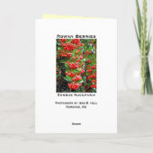 De Kaart van de Vakantie van de Groeten van het (Achterkant)